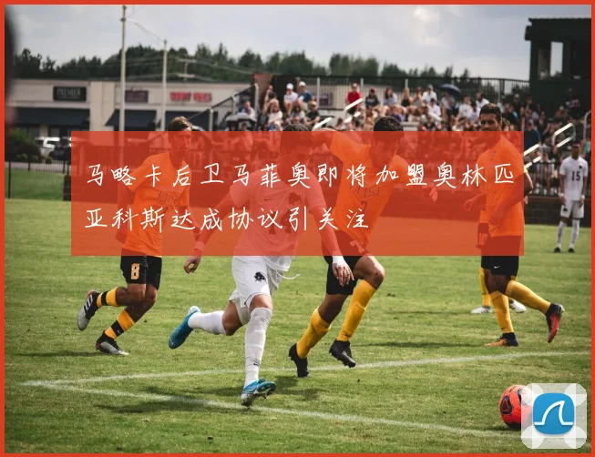 马略卡后卫马菲奥即将加盟奥林匹亚科斯达成协议引关注
