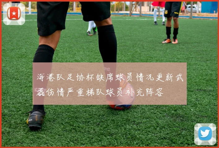 海港队足协杯缺席球员情况更新武磊伤情严重梯队球员补充阵容