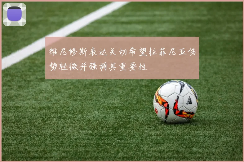 维尼修斯表达关切希望拉菲尼亚伤势轻微并强调其重要性